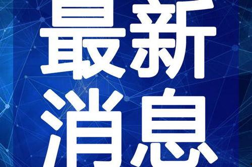 斗鱼火影爆料视频大全最新,独家揭秘忍者世界幕后真相