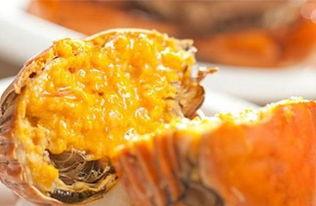 海参最新爆料图片,探寻海洋珍馐的神秘面纱